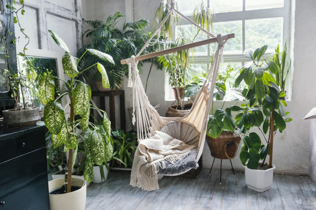 Proprietaires Mag Decorer Sa Maison Avec Des Plantes 2