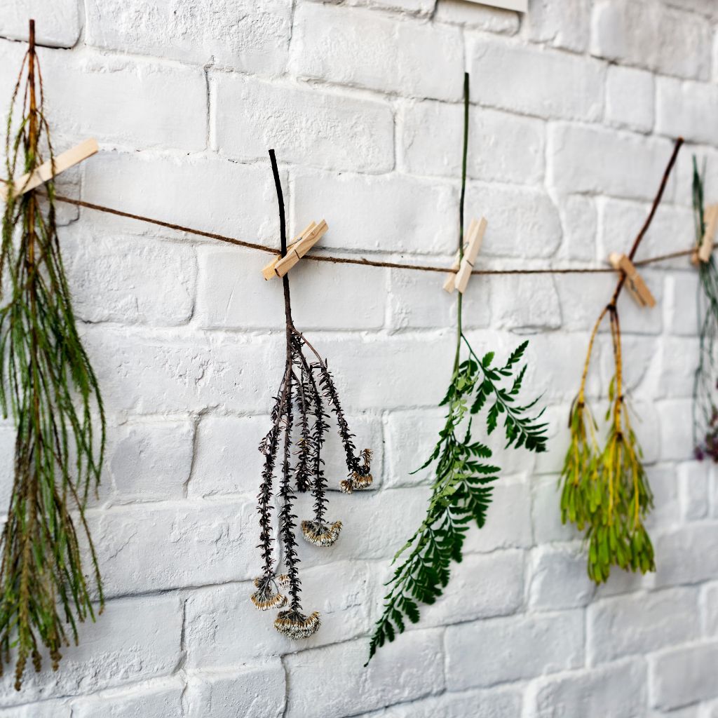 Flowers Fresh Suspended Drying 1