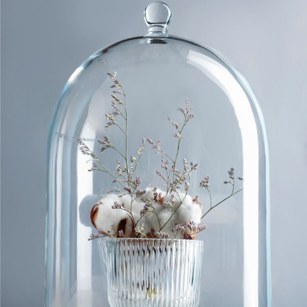 Dried Flowers Under Bell Jar White Interior Decoration 1