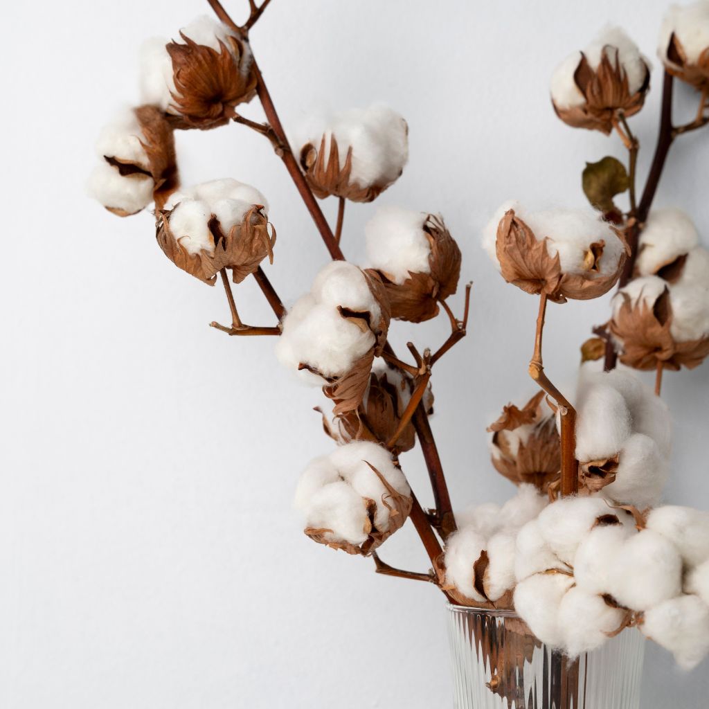 Fluffy Plant Cotton Vase Decoration Interior 2