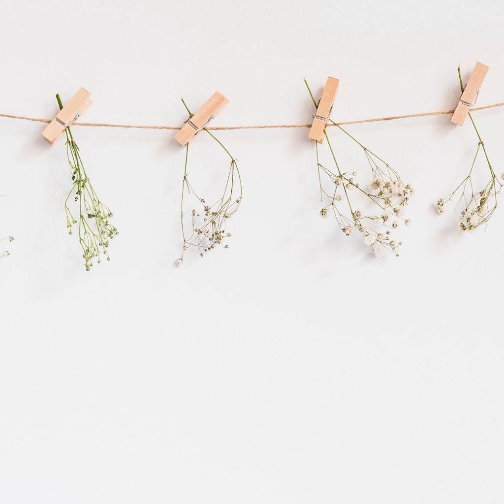 Decorative Garland White Dried Flowers 2